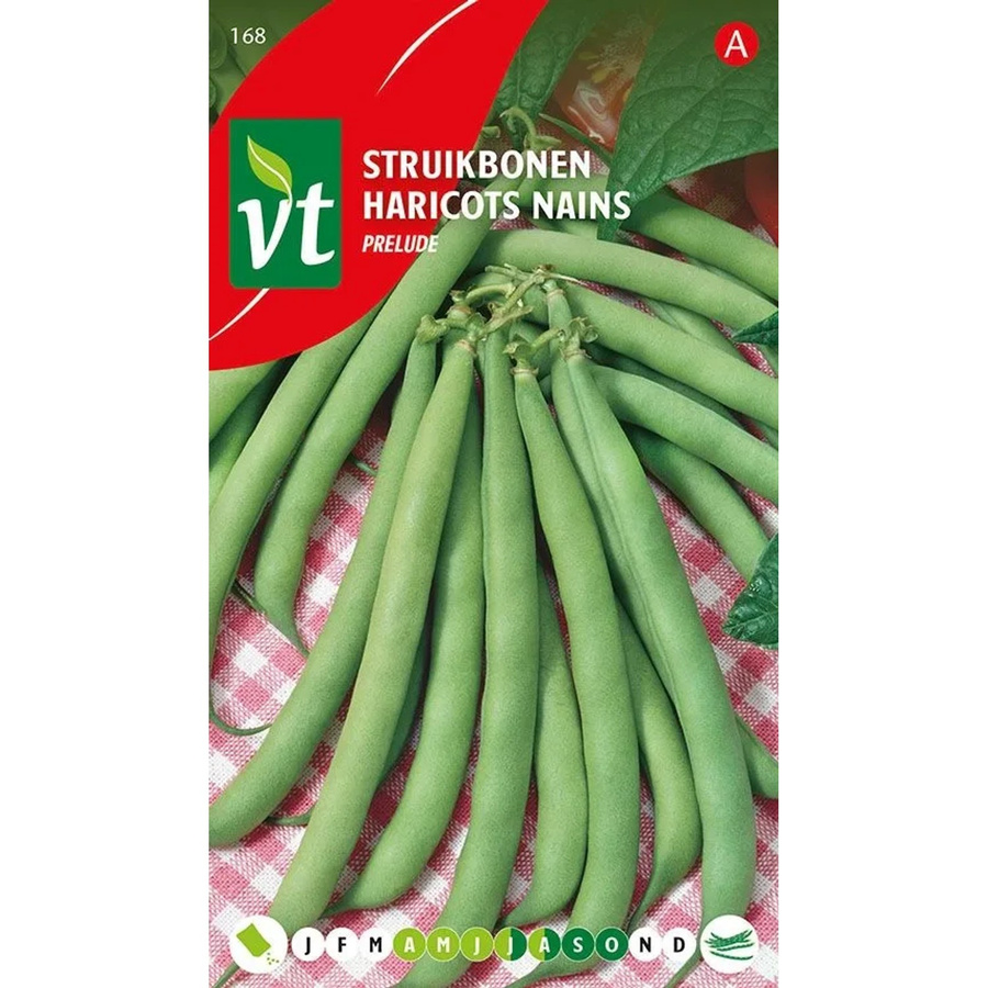 Arborix Grüne Bohne Prelude Saatgut 50 g - Bild 2