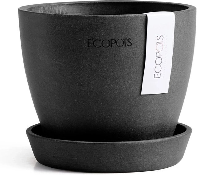 Ecopots Pflanztopf Antwerp Mini Dunkelgrau B: 11,5 cm, H: 10,1 cm, T: 10,1 cm - Bild 1