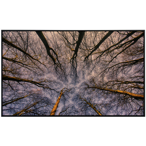 papermoon Infrarotheizung EcoHeat Sonnenaufgang durch den Wald mit Matt-Effekt in Bunt, 1200 Watt, App-Steuerung und Überhitzungsschutz - Bild 2