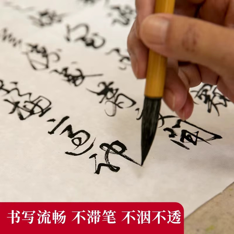 Emenne Sheng Xuan Reispapier in Weiß für chinesische Kalligraphie und Sumi-Tintenzeichnungen - Bild 2