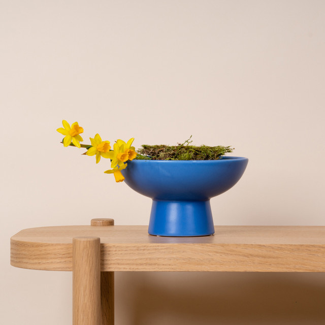 Keramikschale von BLUME2000 in Blau - Bild 1