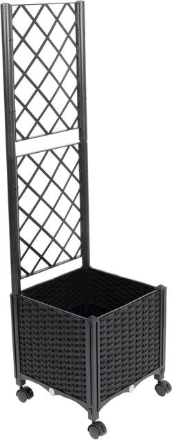 Pflanztopf Rankspalier genialo Schwarz B/T/H: 40 x 40 x 142 cm - Bild 1