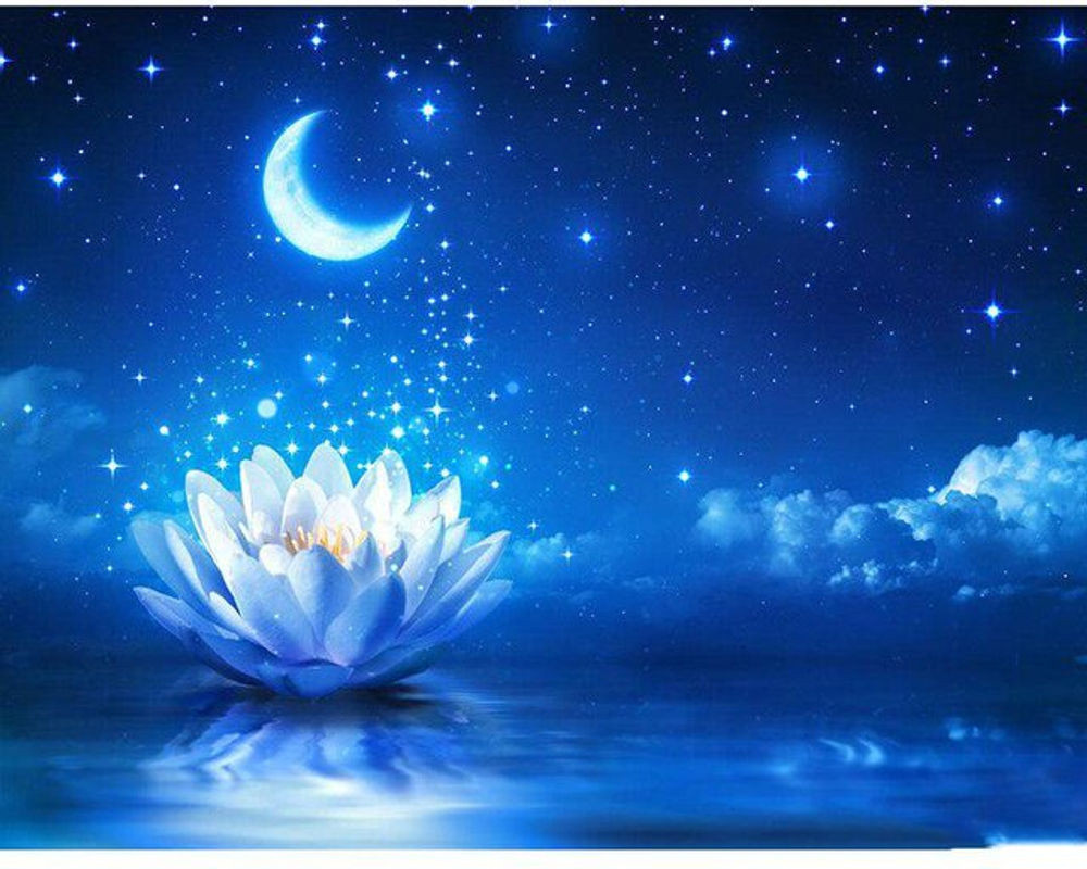 FIYO 5D DIY Diamantmalerei Mond und Lotus Blumen Stickerei Set in Blau, B/H: 20 x 30 cm - Bild 1
