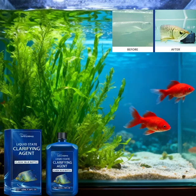 eelhoe Aquarium-Wasserkleinerner und Algenentferner in Blau zur Wasseraufbereitung für Süßwasser- und Salzwassertanks sowie Teiche - Bild 1