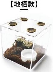 Binchi Outdoor Product Haustierfang Vogel Spinne Zuchtbox, Acryl, weiß - Bild 1