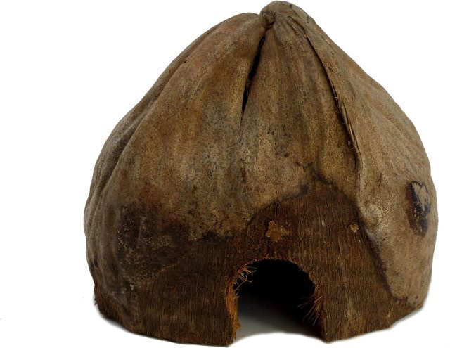 Proflora Kokoshöhle als halbierte Versteckmöglichkeit für Schlangen, Insekten, Spinnen und Nager in Braun, B/T/H: 15,0 x 15,0 x 7,0 cm - Bild 1
