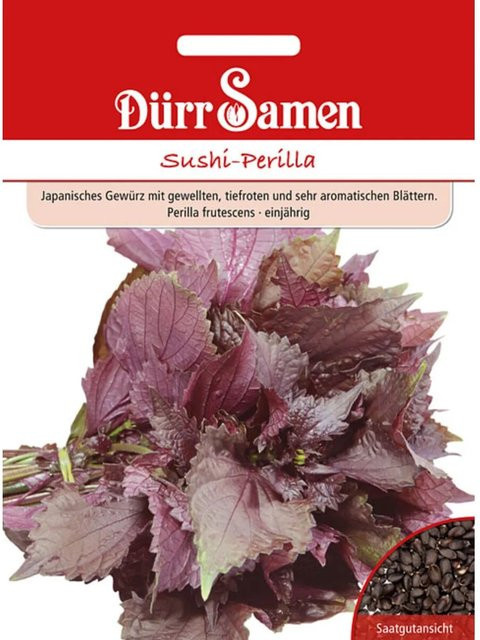 Dürr Sushi-Perilla Saatgut Kräutersamen 50 g - Bild 1