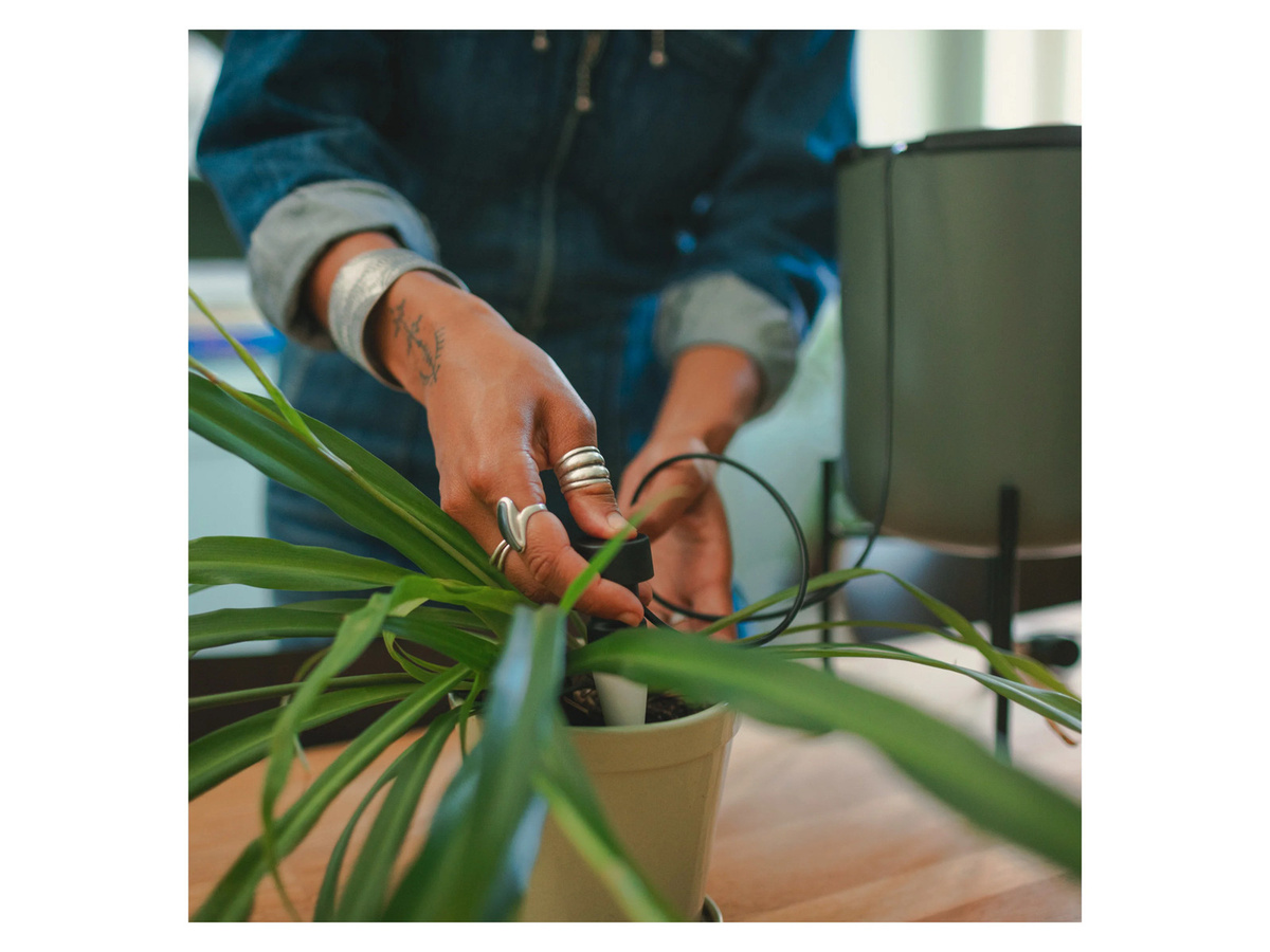 Fiskars Plant Care Selbstbewässerungssystem für Zimmerpflanzen aus Kunststoff - Bild 2