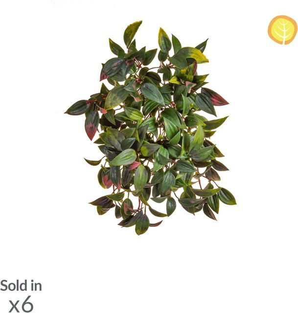 Künstliche Peperomia Natalie von Aplanta in Grün, Höhe: 37 cm - Bild 1