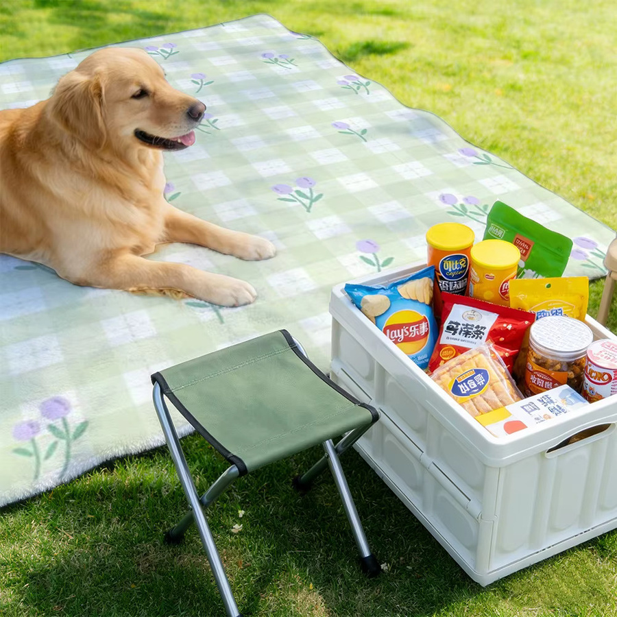 Personalisierte Outdoor-Decke von SRH in Multicolour, weich und leicht für Camping, Picknick und Reisen, B/T: 150 x 100 cm - Bild 2
