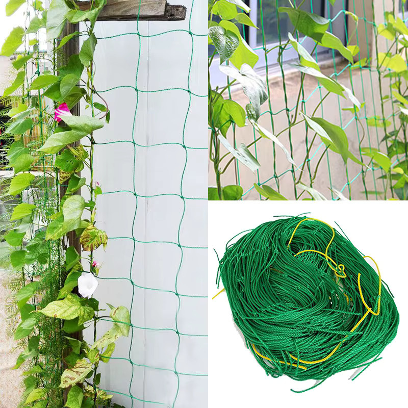 Grünes Nylon-Gartengitter als Kletternetz zur Unterstützung von Kletterpflanzen wie Gurken, Tomaten und Trauben - Bild 2