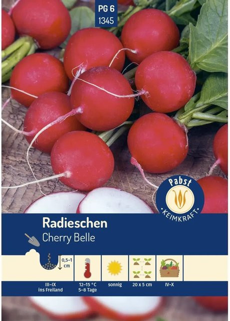 Pabst Keimkraft Radieschen Cherry Belle Saatgut raschwüchsig und mild 250 g - Bild 1