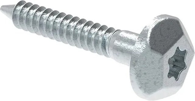 FeNau Sicherheitsschraube aus verzinktem Stahl mit AW 40 Antrieb und Verschlussstopfen, Farbe: Silber, Durchmesser: 7 mm, Länge: 40 mm - Bild 1