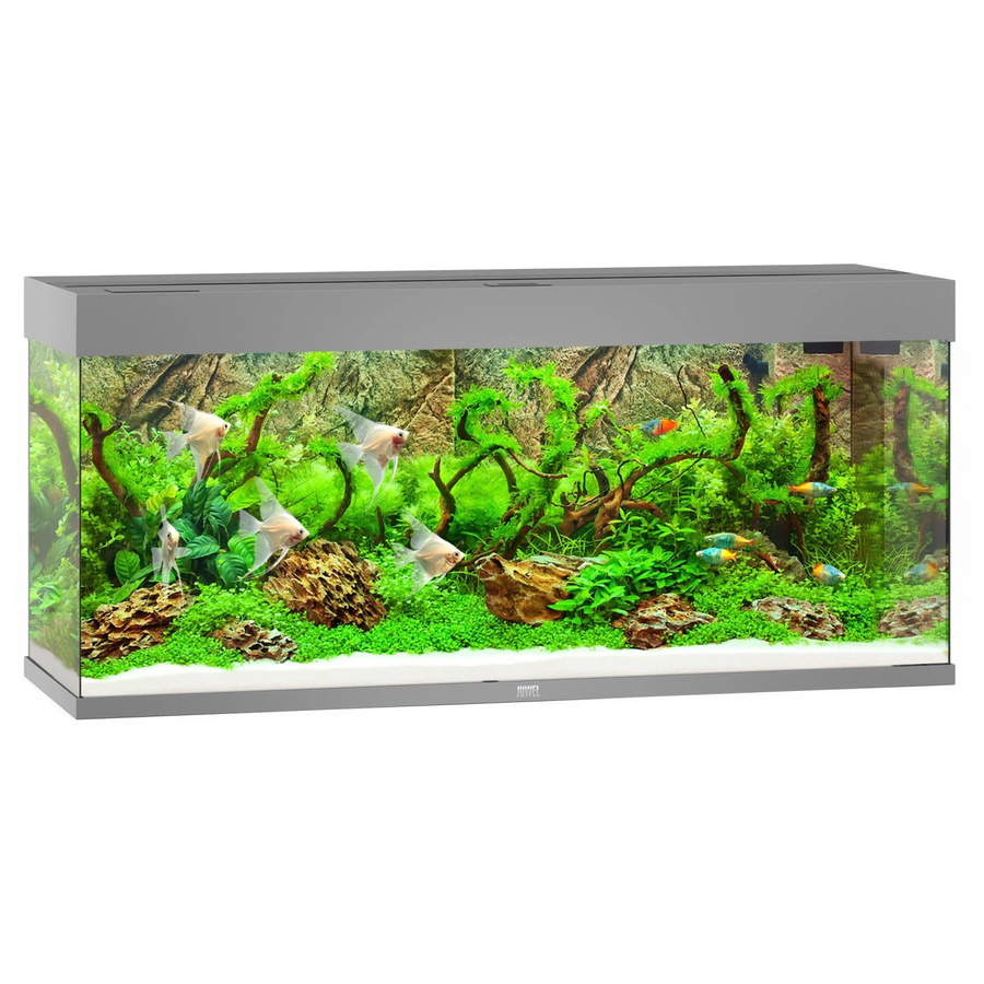 Juwel Aquarium Rio LED 240 in Grau - Bild 2