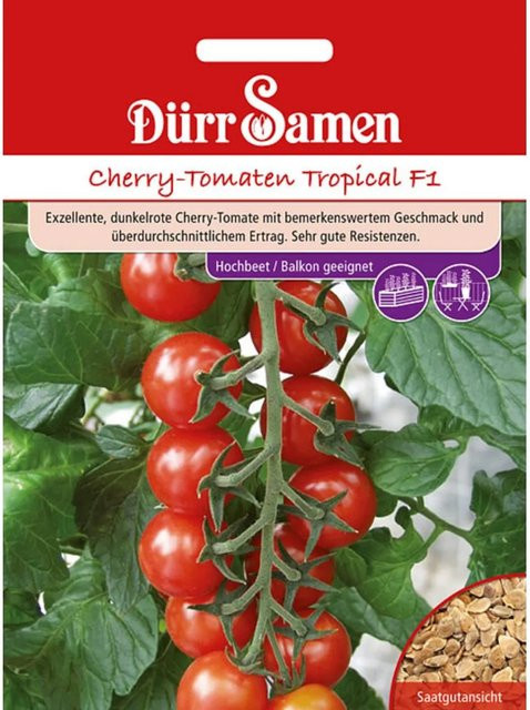 Dürr Kirsch-Tomaten Tropical F1 Saatgut - Bild 1