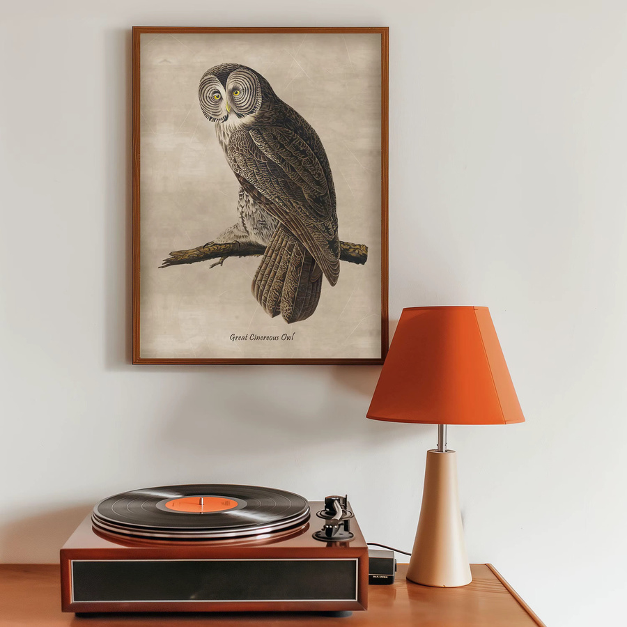 Potdemiel Vintage Eulen Poster als Leinwand Wandbild mit verschiedenen Eulenarten in Mehrfarbig - Bild 2
