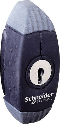 Schneider Electric NSYAEDL4324S3D S3D 4324E Verriegelung in Schwarz - Bild 1