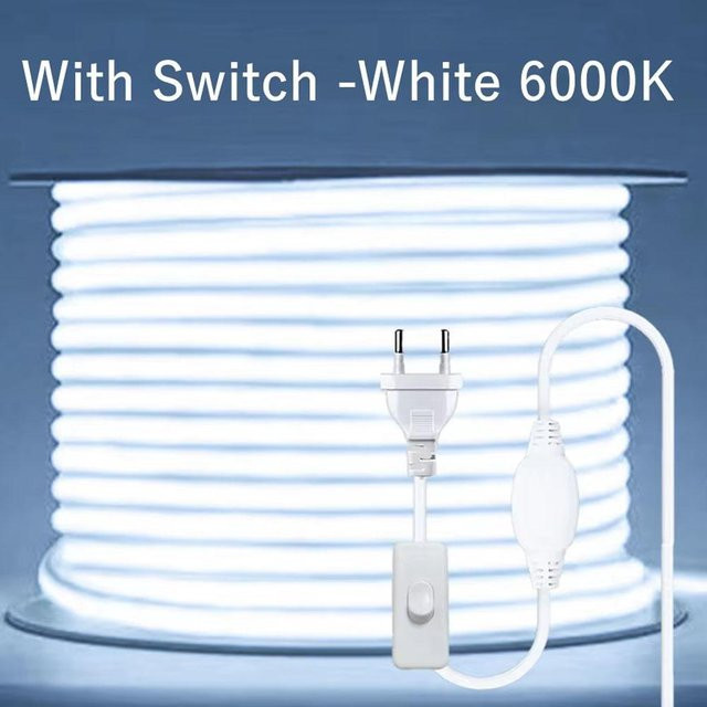 GuangZhouZhenqin COB LED-Streifen Wasserdicht mit Linse und Schalter, Dimmbar, Kühle Weiße, 5m - Bild 1