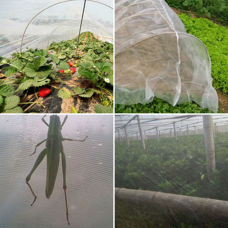 Transparentes Insektenschutznetz für Garten und Gewächshaus zur Schädlingsbekämpfung von Gemüse, Obst und Blumen - Bild 3