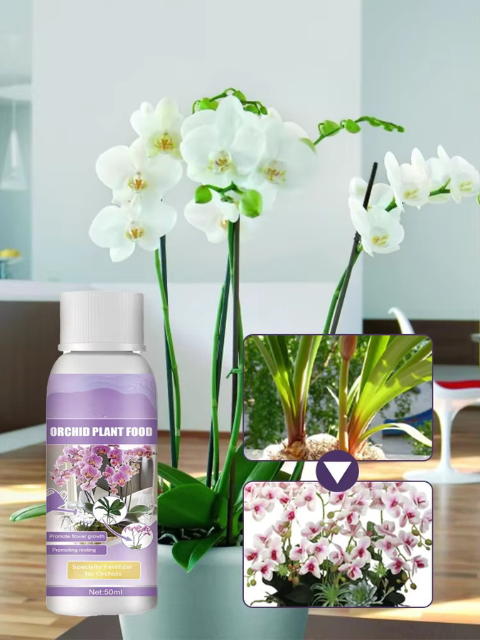 MOONSPRY Flüssiger Orchideendünger für Hydrokulturen, 50 ml - Bild 6