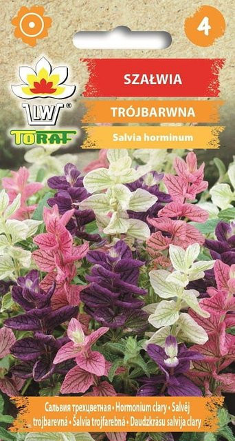 TORAF Dreifarbige Blumensamen für Haus und Garten, 0,5 g - Bild 1