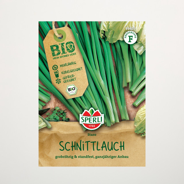 Sperli Schnittlauch Staro Bio Kräutersamen - Bild 1