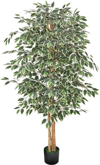Künstlicher Feigenbaum von Buying Solutions, MB in Grün mit Topf, Höhe: 185 cm - Bild 1