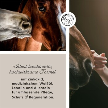 Annimally Zinkspray Plus mit Zinkoxid, 200 ml - Bild 3