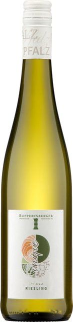 Ruppertsberger Weinkeller Riesling Weißwein, Pfalz, 2024, trocken, 0,75 l - Bild 1