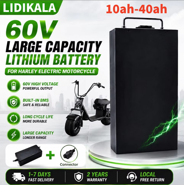 Lithium-Batterie für Elektrofahrzeuge und Citycoco Elektroroller, 60V, Schwarz - Bild 1