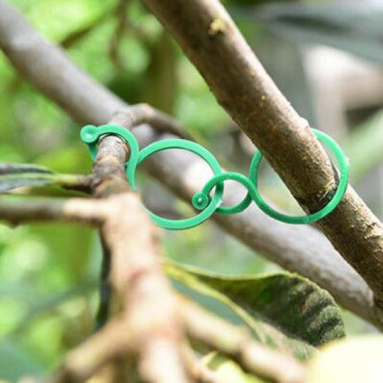 Talos home Garden Gartenpflanzenklammern aus Kunststoff für Innen- und Außenbereich, 100 Stück - Bild 6