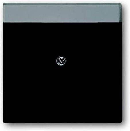 Busch-Jaeger Abdeckung Modular-Jack-Einsatz in Schwarz (RAL 9005) 2CKA001710A3910 - Bild 1