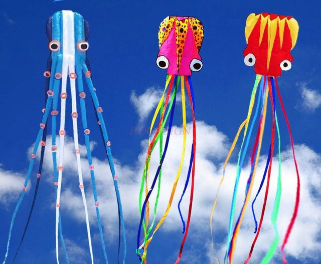 Binchi Outdoor Product Oktopus Weichdrachen, Bunt / Mehrfarbig, ab 3 Jahre - Bild 1