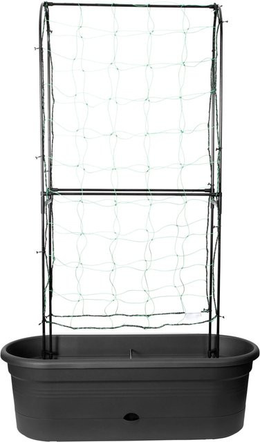 Elho Pflanzwand Veggie Wall Living Schwarz H x B x T: 26 x 80 x 31 cm - Bild 1