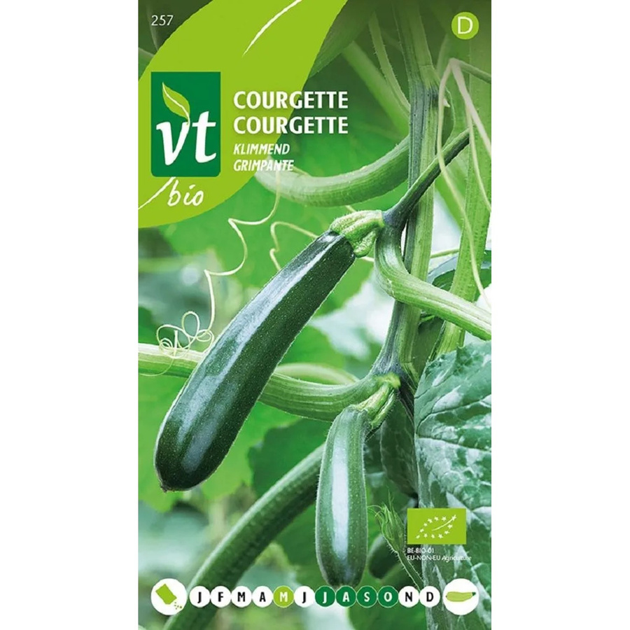 Arborix Zucchini Kletter Samen für den vertikalen Garten mit hohem Ertragspotenzial, 1 g - Bild 2