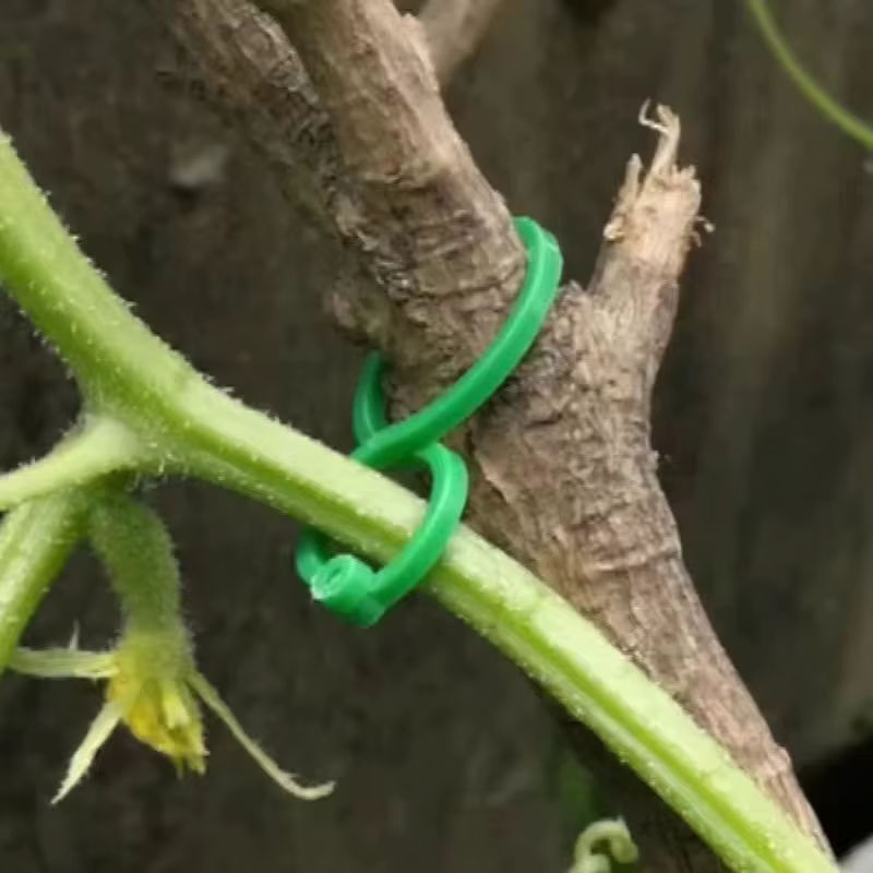 Grüne Kunststoff Reben Umreifung Clips zur Unterstützung wachsender Pflanzen als Halter für die Gartenarbeit - Bild 2
