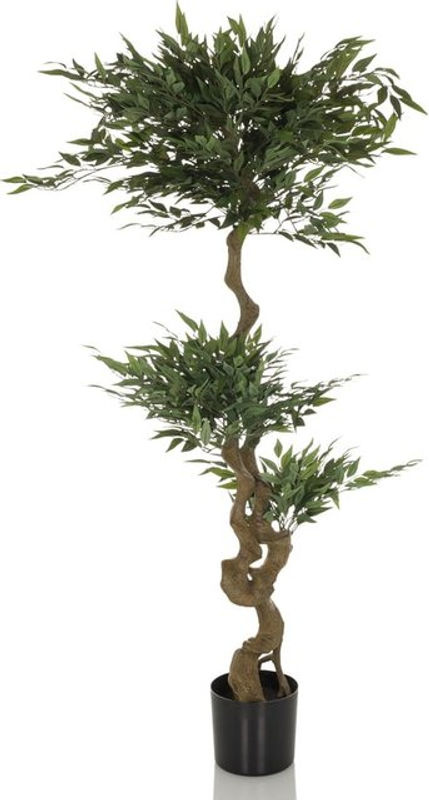 Kunstpflanze Acacia von hjh OFFICE in Grün, Höhe: 155 cm - Bild 2