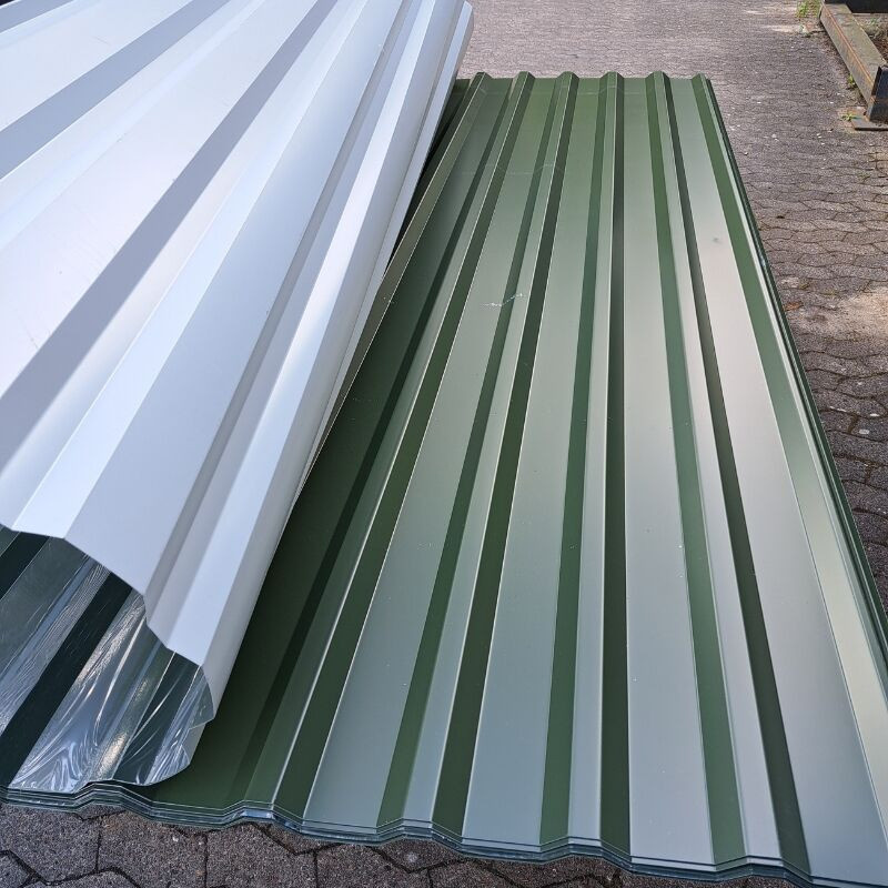Trapezblech Dach Friedrich von Lien AG Chromoxidgrün RAL 6020 Länge: 2,50 m, Breite: 138 cm, Höhe: 2 cm - Bild 1