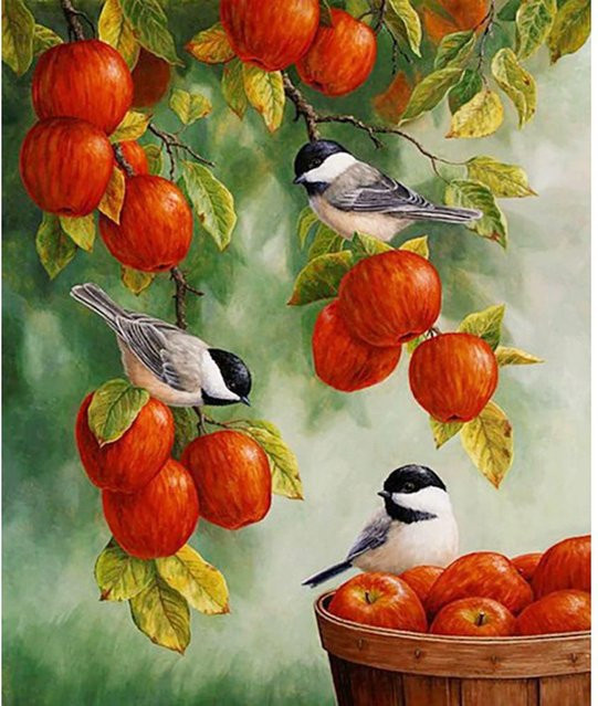 Diamant-Malerei FIYO mit roten Äpfeln und Vögeln, Motiv Herbst, Farbe: Rot, B/H: 30 x 20 cm - Bild 1