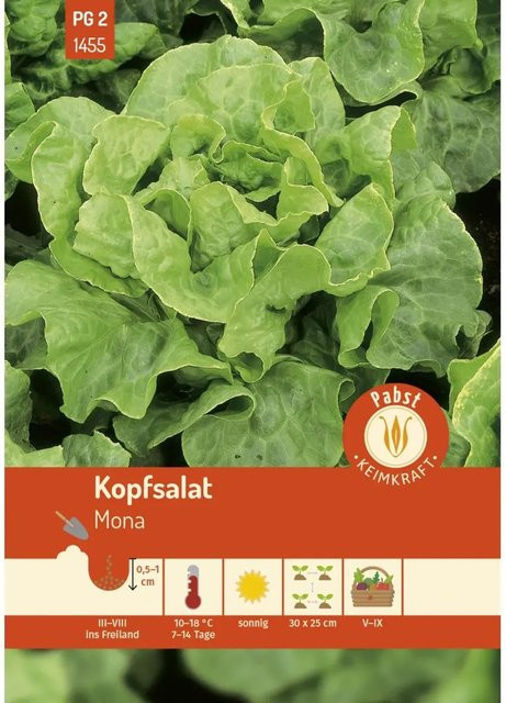 Pabst Keimkraft Kopfsalat Mona Saatgut robust und hitzebeständig - Bild 1