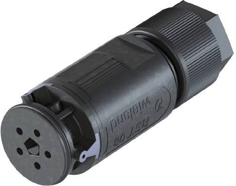 Wieland Electric 4L.051.3041.4 Steckverbinder in Grau und Schwarz - Bild 1