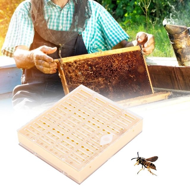 KONNWEI Imker Ausrüstung Set mit Zellenbechern und Bienenkönigin Schutzkäfig in Transparent - Bild 1