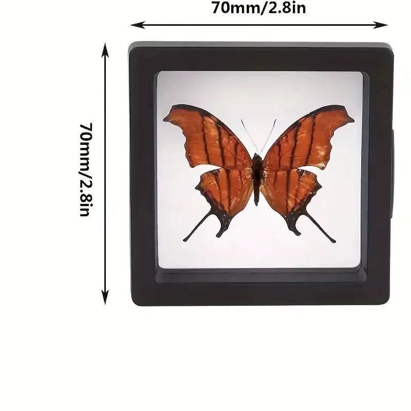 20 Stück Clearview 3D Schwebe-Displayboxen aus transparentem Acryl mit elastischer Folie zur staubdichten Schmuckaufbewahrung - Bild 2