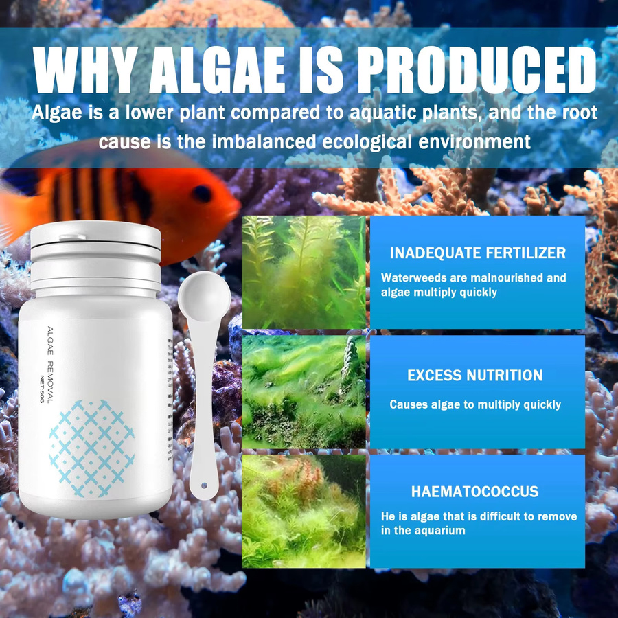 Algenkontrolltabletten zur Aquarienpflege und Geruchsentfernung in Weiß - Bild 3