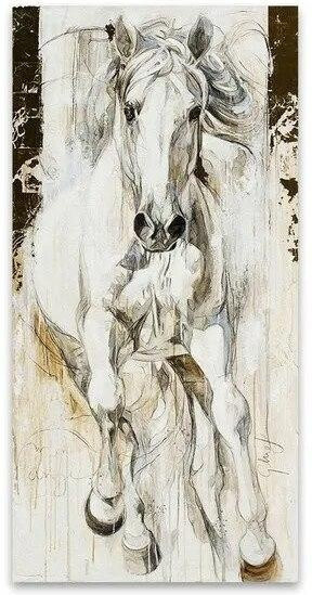 Abstraktes Pferd Leinwandgemälde von iaidegou-2, modernes Kunstwerk für Wohnzimmer und Büro, Mehrfarbig, B: 30 cm, H: 60 cm - Bild 1
