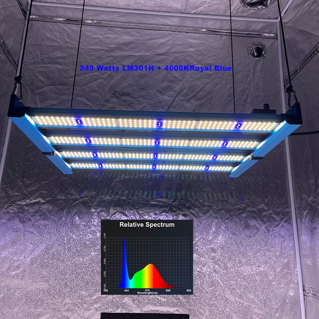 King brite 240W LED Grow Light Bar mit Samsung LM301H und Royal Blue XP-E2 460nm für den Gemüseanbau, 4000K - Bild 1