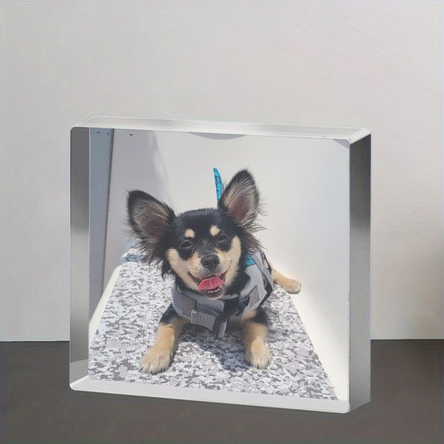 Individuelles Acryl-Fotodisplay von Hello Young für Haustiere, handgefertigte 3D-Desktop-Dekoration in Rot und Transparent - Bild 1