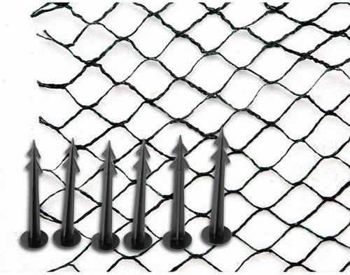 Siena Garden Teichnetz in Grün oder Schwarz aus Kunststoff, 1 Stück - Bild 1