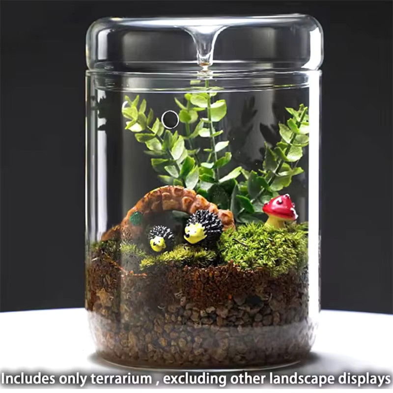 YOWEI Glasterrarium in Transparent für Mikrolandschaften und Bonsai-Dekoration, runde Glasvase für Tischdekoration, Höhe: 12,0 cm - Bild 2