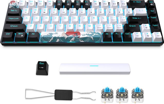 HXSJ Mechanische Gaming-Tastatur mit 68 Tasten, Blaue Schalter, USB-C Anschluss und Mehrfarbiger Beleuchtung in Schwarz-Weiß - Bild 1